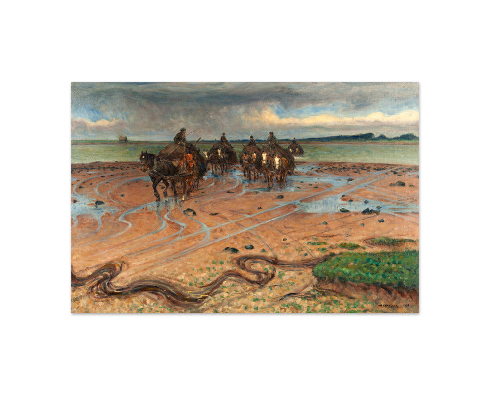 Nils Kreuger - Seaweed Carters, Halland Coast - Compact / Full Bleed / No Frame