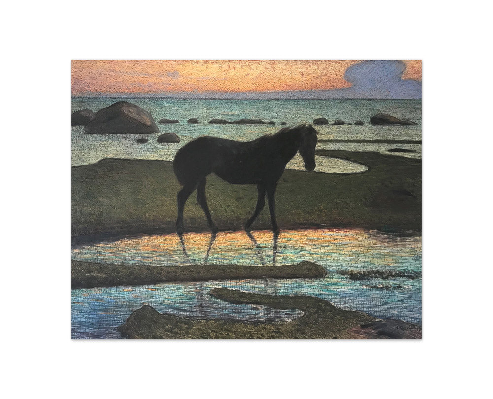 Nils Kreuger - Horse on the Beach (Summer Night) - Compact / Full Bleed / No Frame