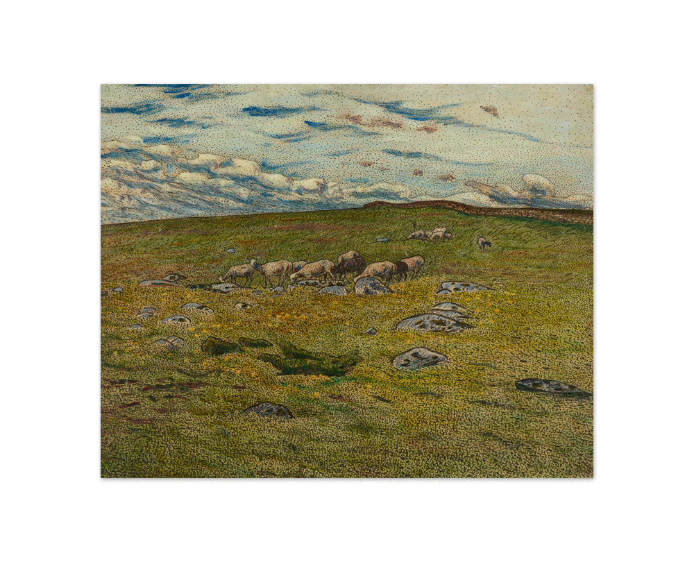 Nils Kreuger - Grazing Sheep - Compact / Full Bleed / No Frame