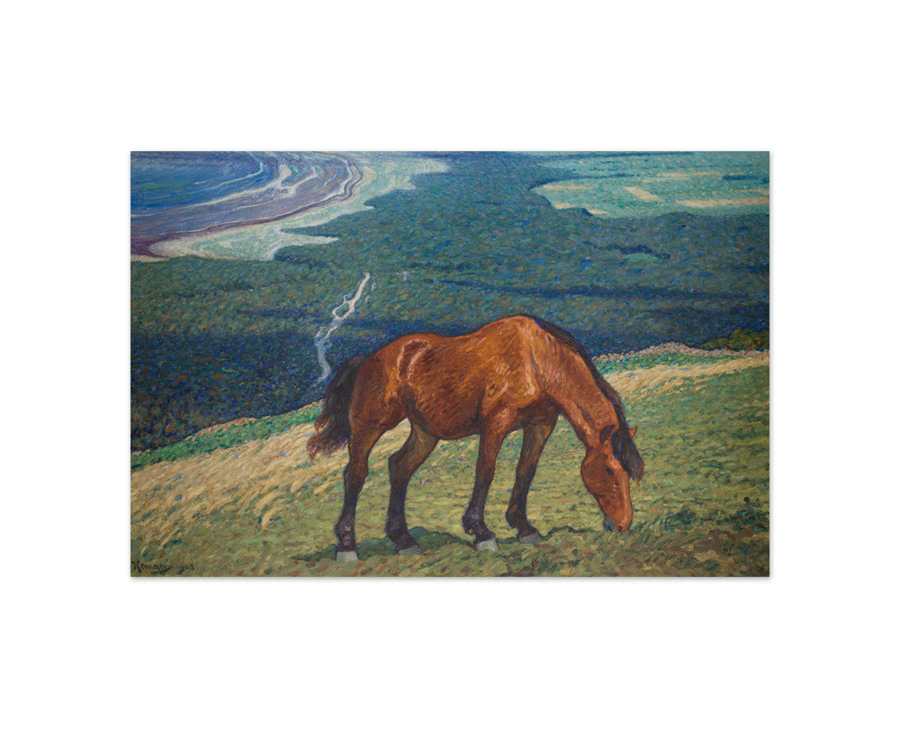 Nils Kreuger - Grazing Horse - Compact / Full Bleed / No Frame