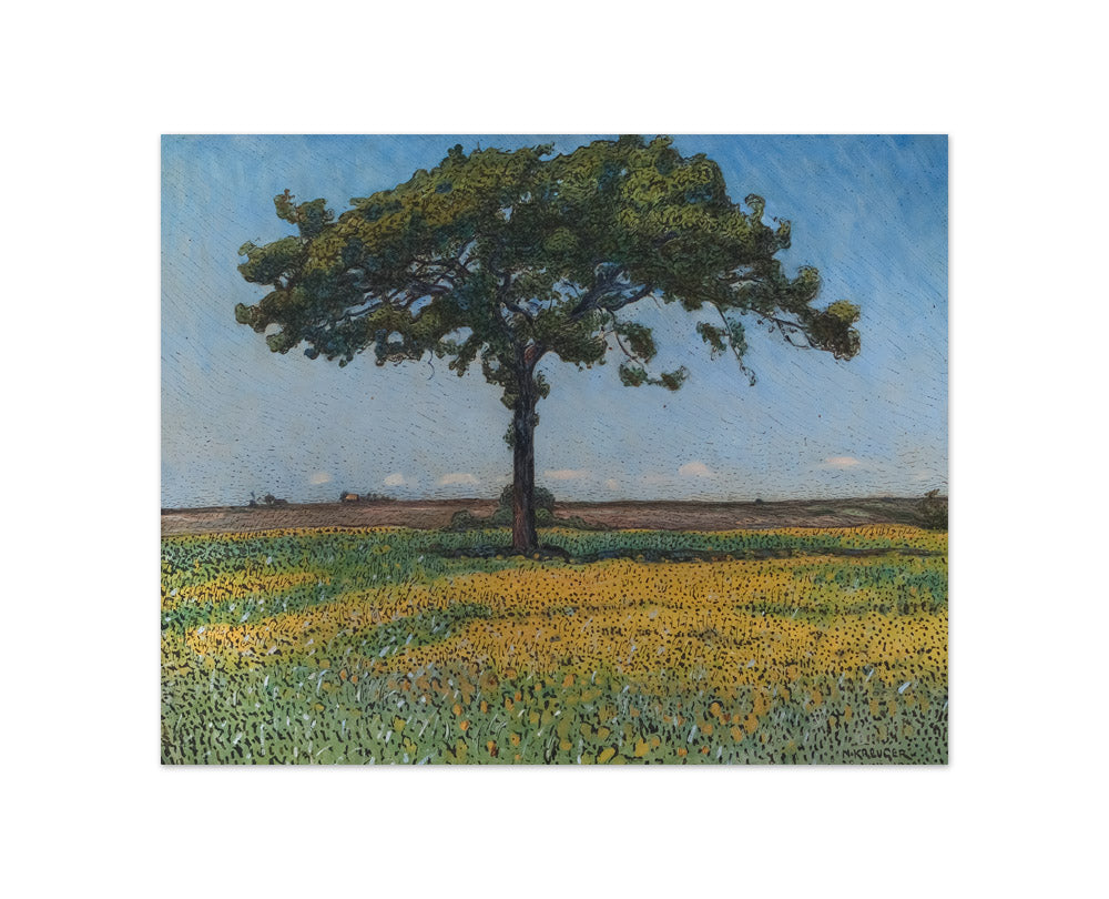 Nils Kreuger - Young Oak - Compact / Full Bleed / No Frame