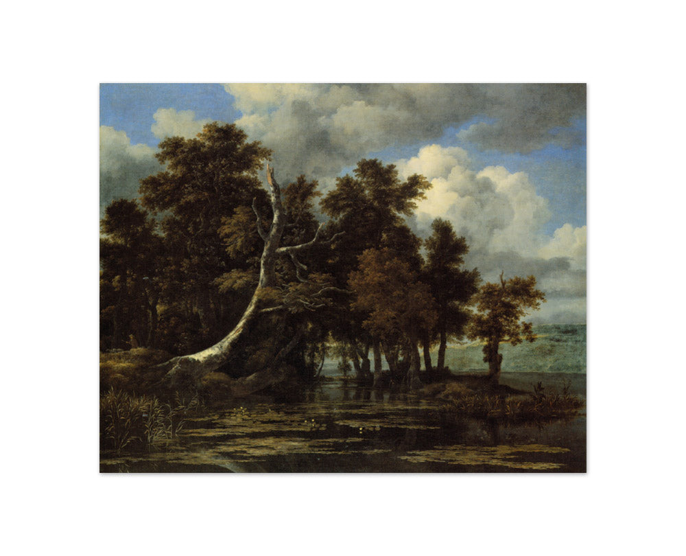 Jacob van Ruisdael - Oaks at a Lake with Water Lilies - Compact / Full Bleed / No Frame