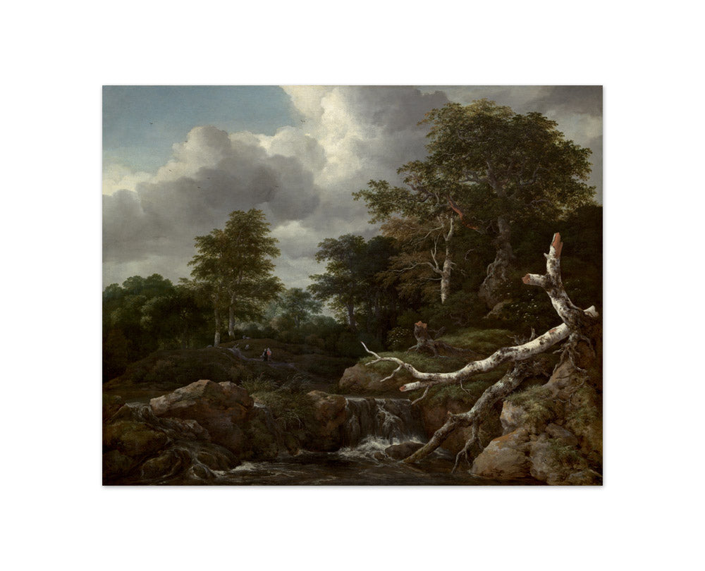 Jacob van Ruisdael - Forest Scene - Compact / Full Bleed / No Frame