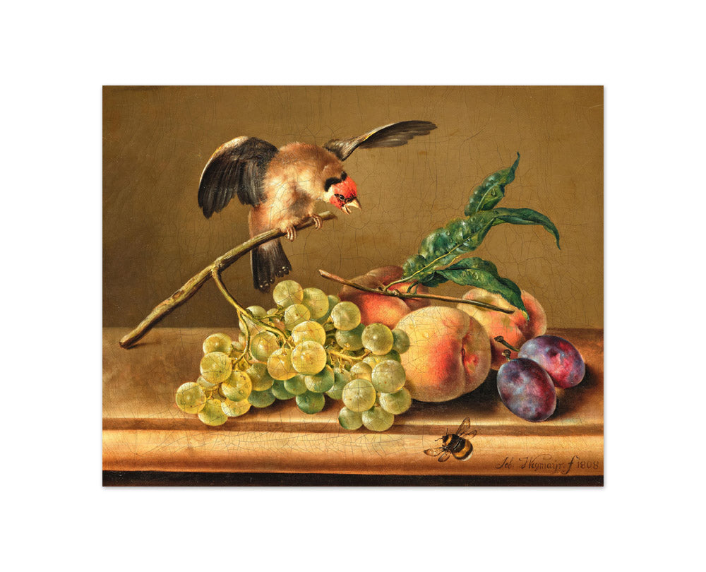 Sebastian Wegmayr - Still Life with Goldfinch - Compact / Full Bleed / No Frame
