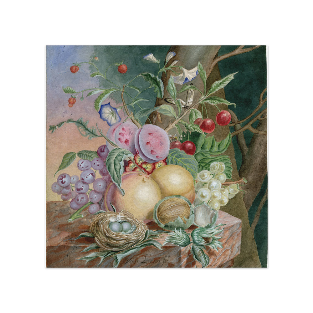 Willem van Leen - Still Life of Fruits and Flowers and a Bird's Nest - Compact / Full Bleed / No Frame