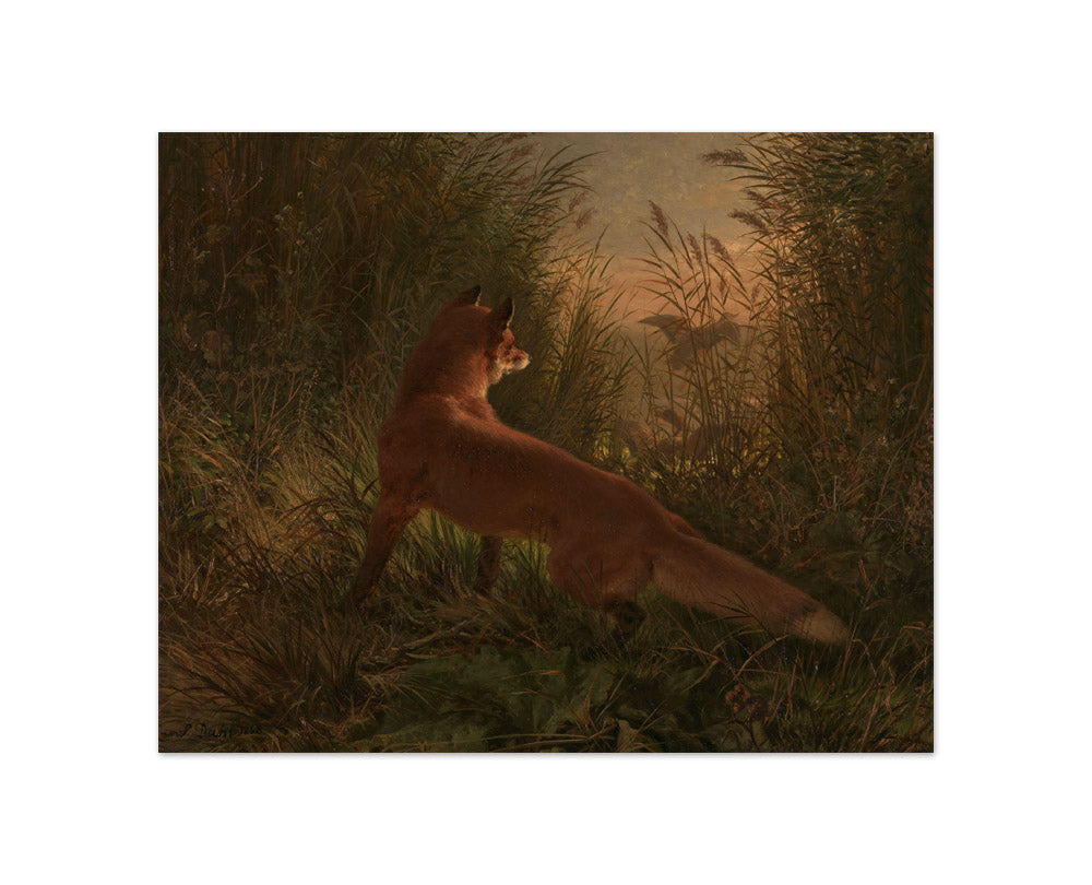 Siegwald Dahl - A Fox - Compact / Full Bleed / No Frame