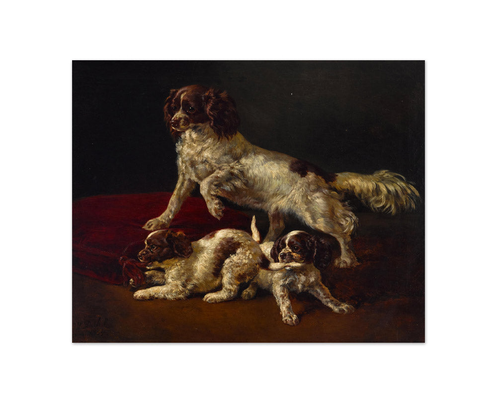 Siegwald Dahl - Spaniel Puppies at Play - Compact / Full Bleed / No Frame