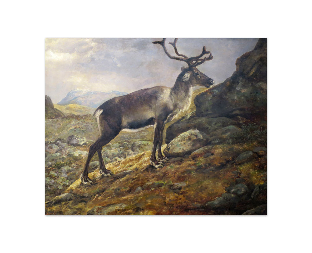 Johan Christian Dahl - Reindeer - Compact / Full Bleed / No Frame