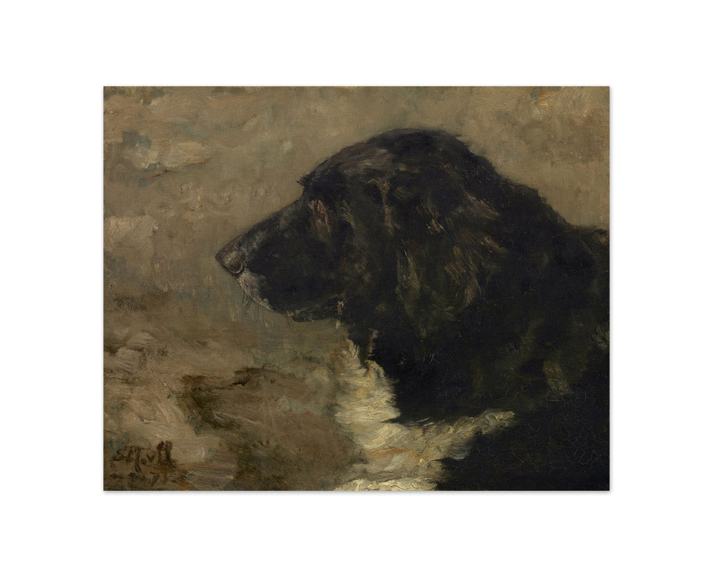 Sientje Mesdag-van Houten - Head of a Dog - Compact / Full Bleed / No Frame