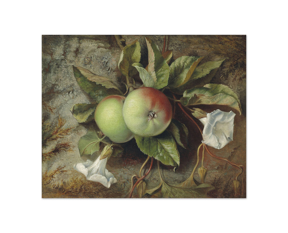 Sir Edward Poynter, 1st Baronet - Apples and Convolvulus - Compact / Full Bleed / No Frame