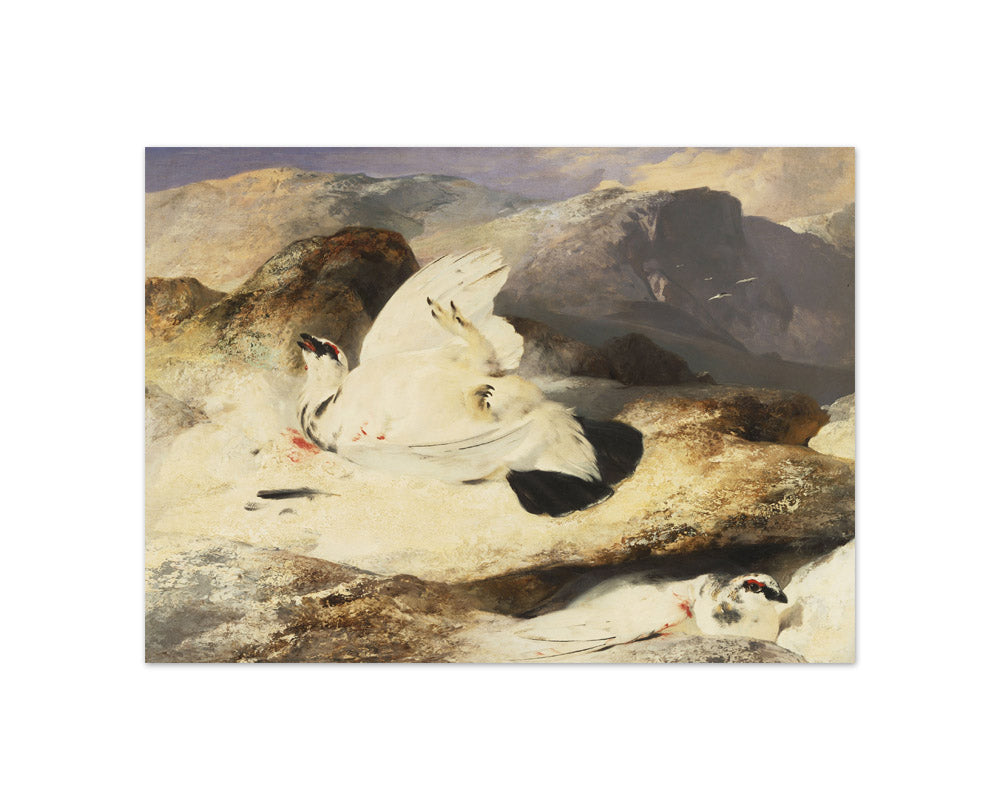 Sir Edwin Henry Landseer - Ptarmigan in a Landscape - Compact / Full Bleed / No Frame