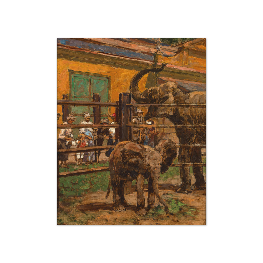 Stefan Simony - Elephants in the Schönbrunn Zoo - Compact / Full Bleed / No Frame