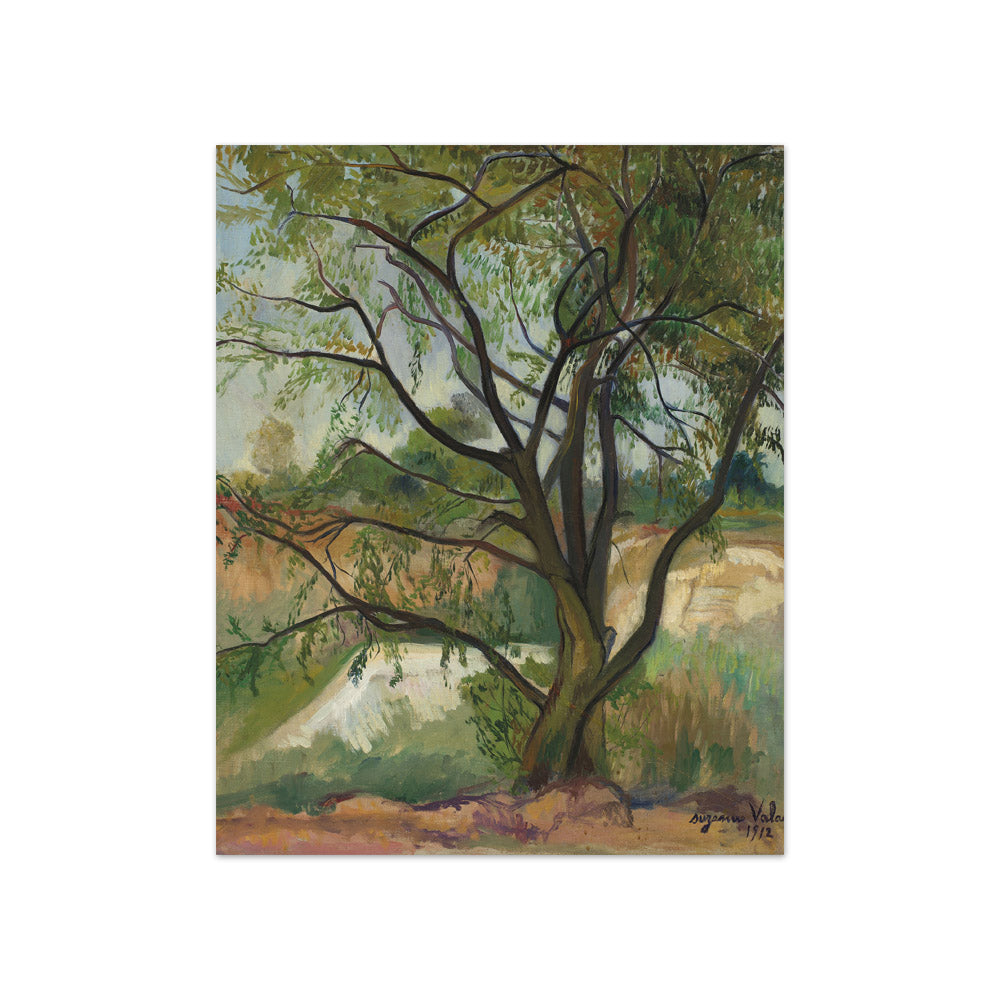 Suzanne Valadon - The Tree - Compact / Full Bleed / No Frame