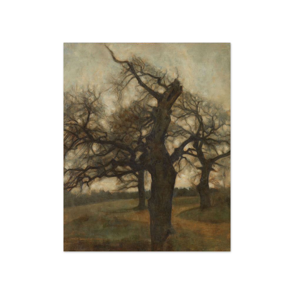 Svend Hammershøi - Oak Trees near Vordingborg - Compact / Full Bleed / No Frame