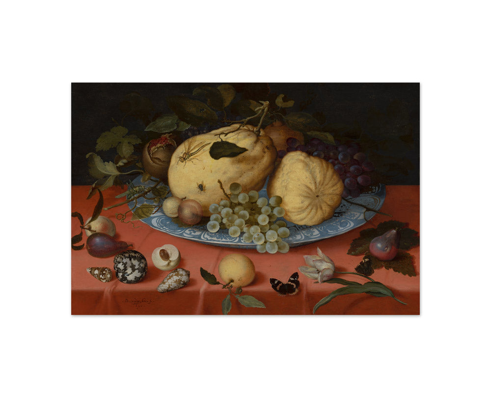 Balthasar van der Ast - Fruit Still Life with Shells and Tulip - Compact / Full Bleed / No Frame