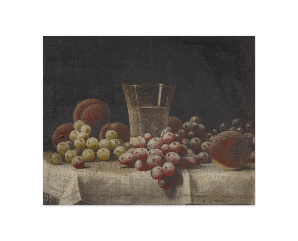 Barton Stone Hays - Still Life - Compact / Full Bleed / No Frame