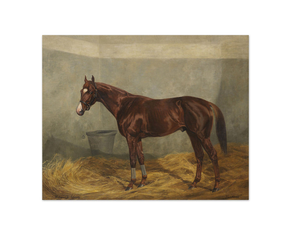 Richard Benno Adam - The Racehorse Phantom - Compact / Full Bleed / No Frame