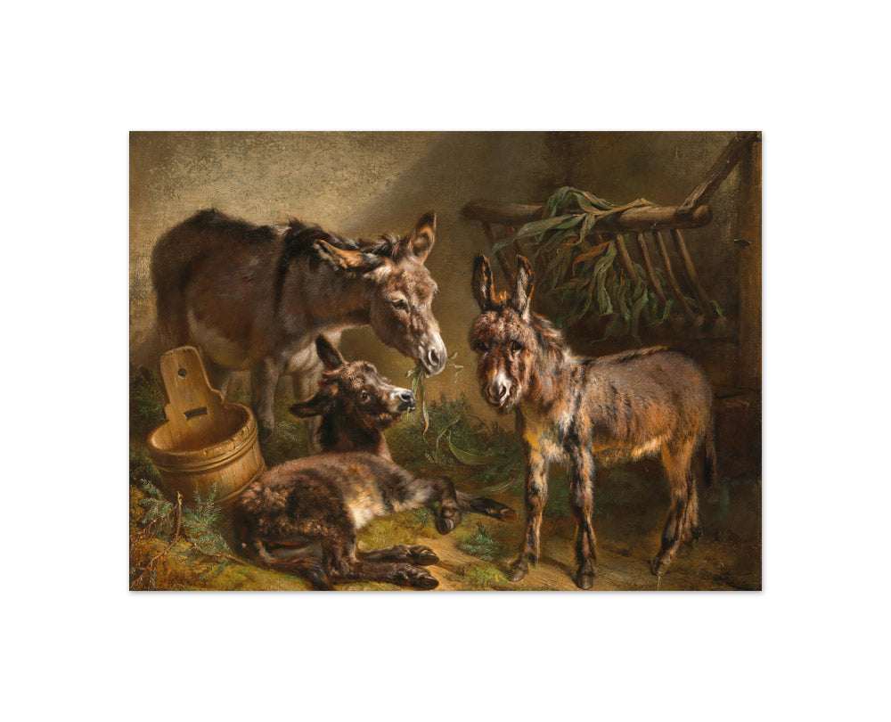 Richard Benno Adam - Donkies in a Stable - Compact / Full Bleed / No Frame