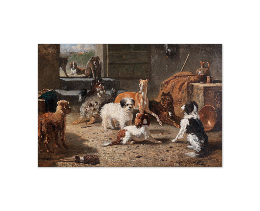 Bernard te Gempt - Dog's Life - Compact / Full Bleed / No Frame