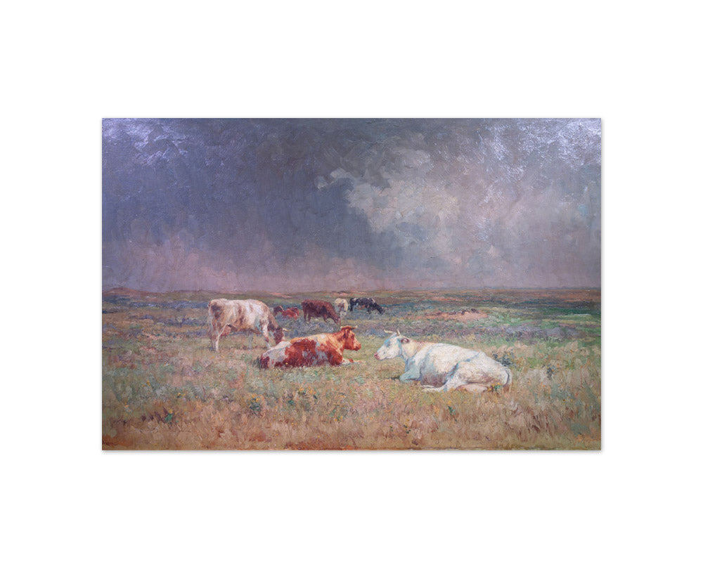 Geo Bernier - Cows in a Meadow - Compact / Full Bleed / No Frame