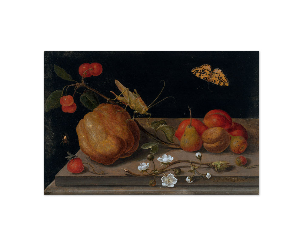 Maria Sibylla Merian - Still Life with Fruit, a Grasshopper and a Butterfly - Compact / Full Bleed / No Frame