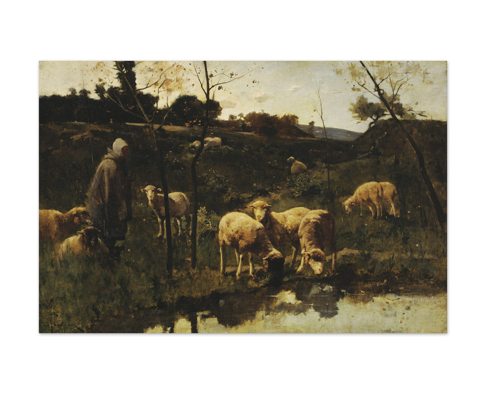 Landscape with Sheep, Picardy by Harry Thompson - Extra Large / Full Bleed / No Frame