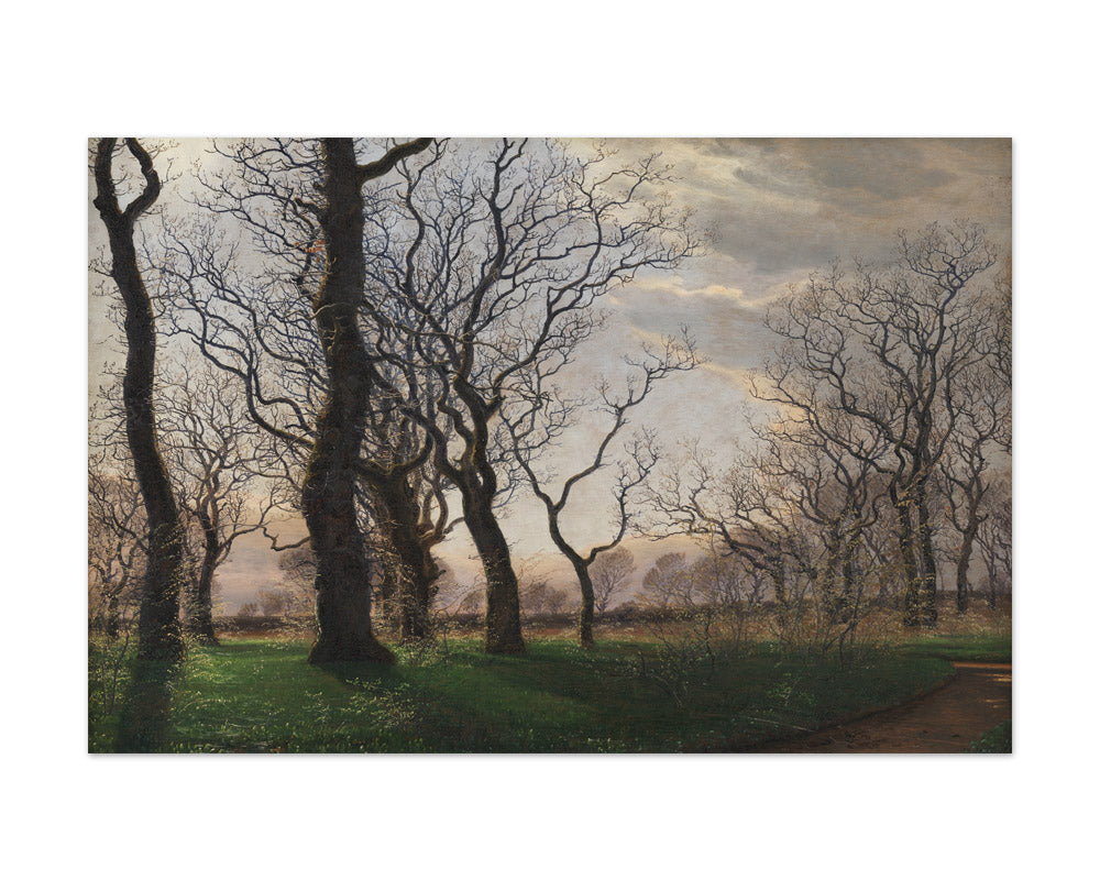On the Outskirts of an Oak Forest on an Early Spring Morning by Janus la Cour - Extra Large / Full Bleed / No Frame