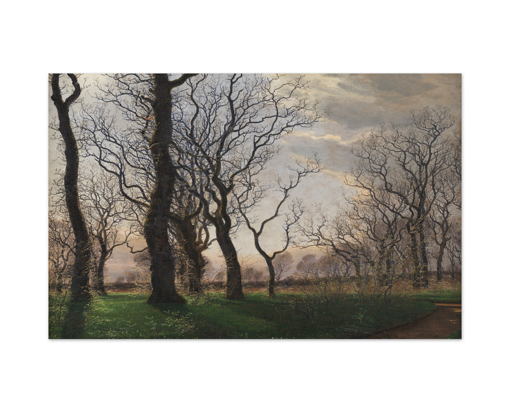 On the Outskirts of an Oak Forest on an Early Spring Morning by Janus la Cour - Large / Full Bleed / No Frame