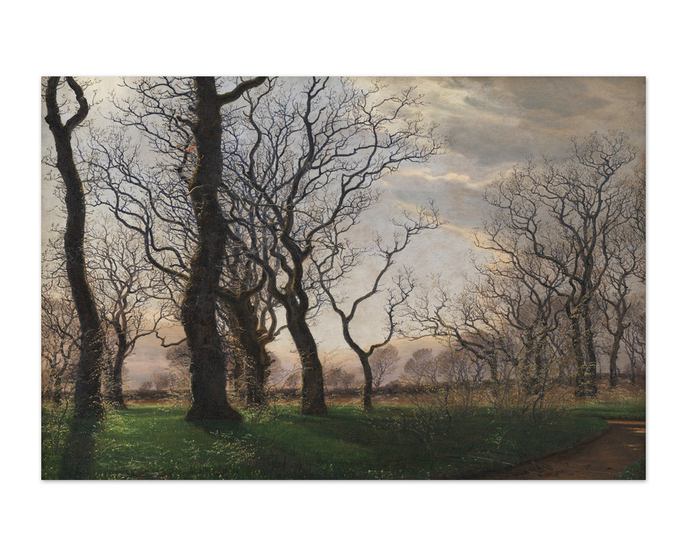 On the Outskirts of an Oak Forest on an Early Spring Morning by Janus la Cour - Majestic / Full Bleed / No Frame