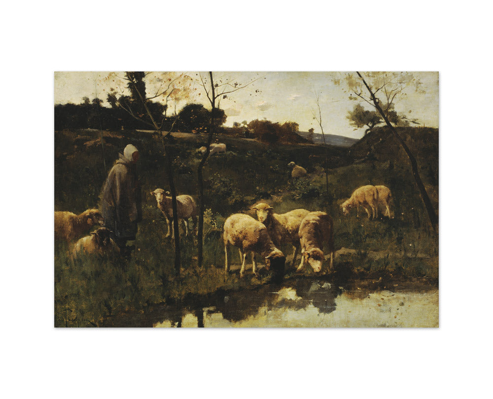 Landscape with Sheep, Picardy by Harry Thompson - Medium / Full Bleed / No Frame
