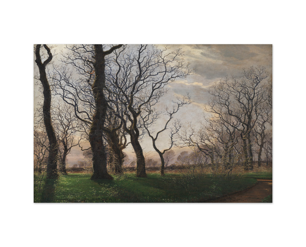 On the Outskirts of an Oak Forest on an Early Spring Morning by Janus la Cour - Medium / Full Bleed / No Frame