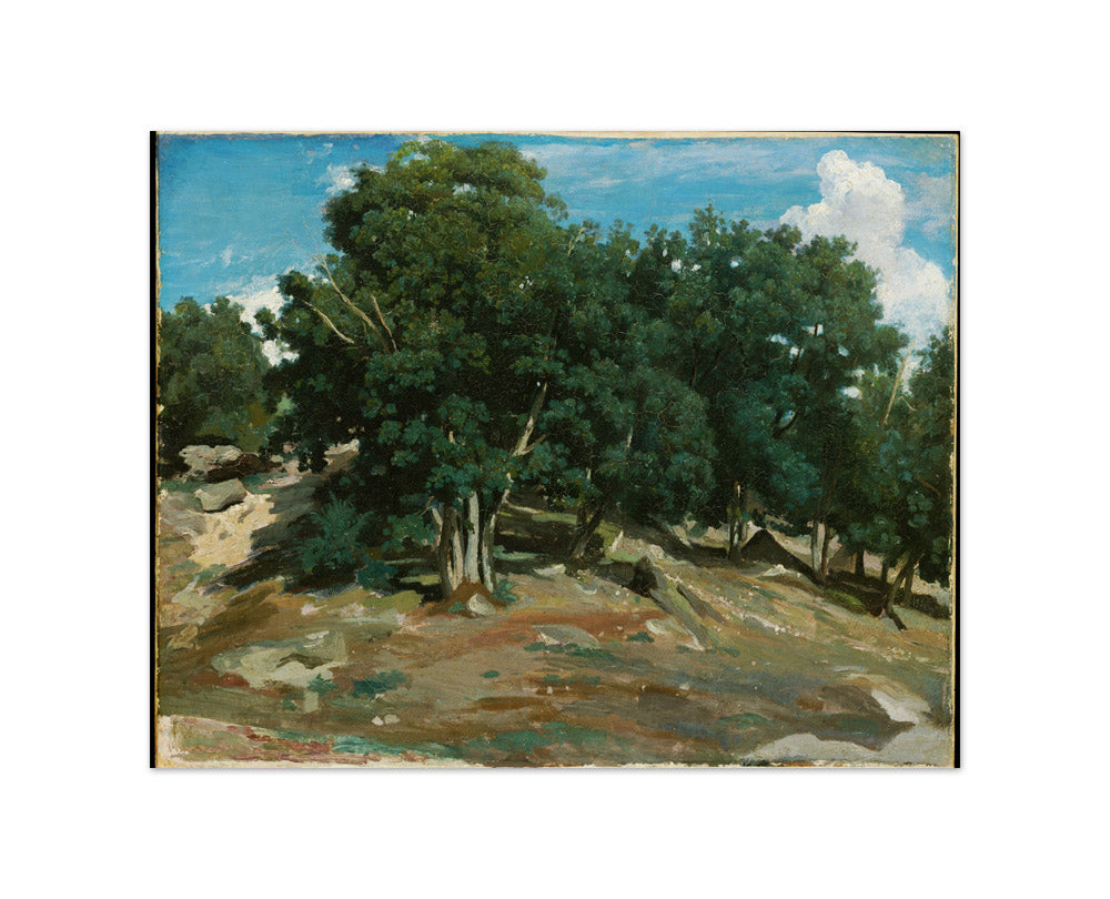 Fontainebleau: Oak Trees at Bas-Bréau by Camille Corot - Small / Full Bleed / No Frame
