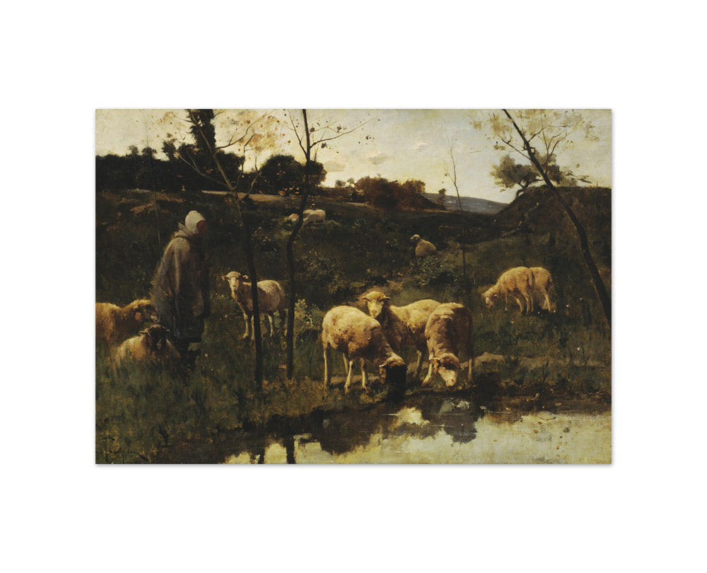 Landscape with Sheep, Picardy by Harry Thompson - Small / Full Bleed / No Frame
