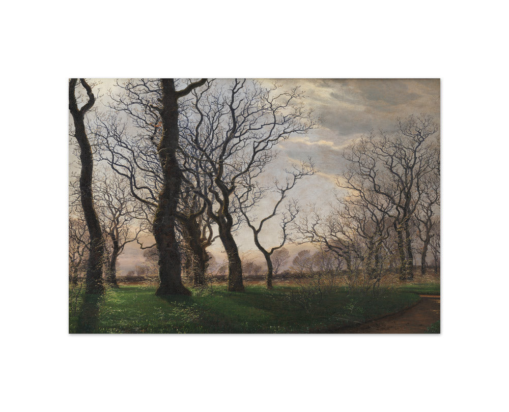 On the Outskirts of an Oak Forest on an Early Spring Morning by Janus la Cour - Small / Full Bleed / No Frame