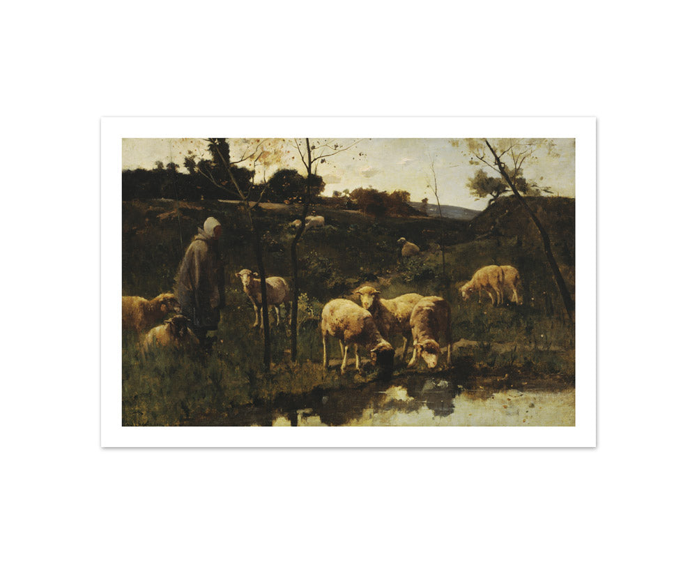 Landscape with Sheep, Picardy by Harry Thompson - Compact / With Margin / No Frame