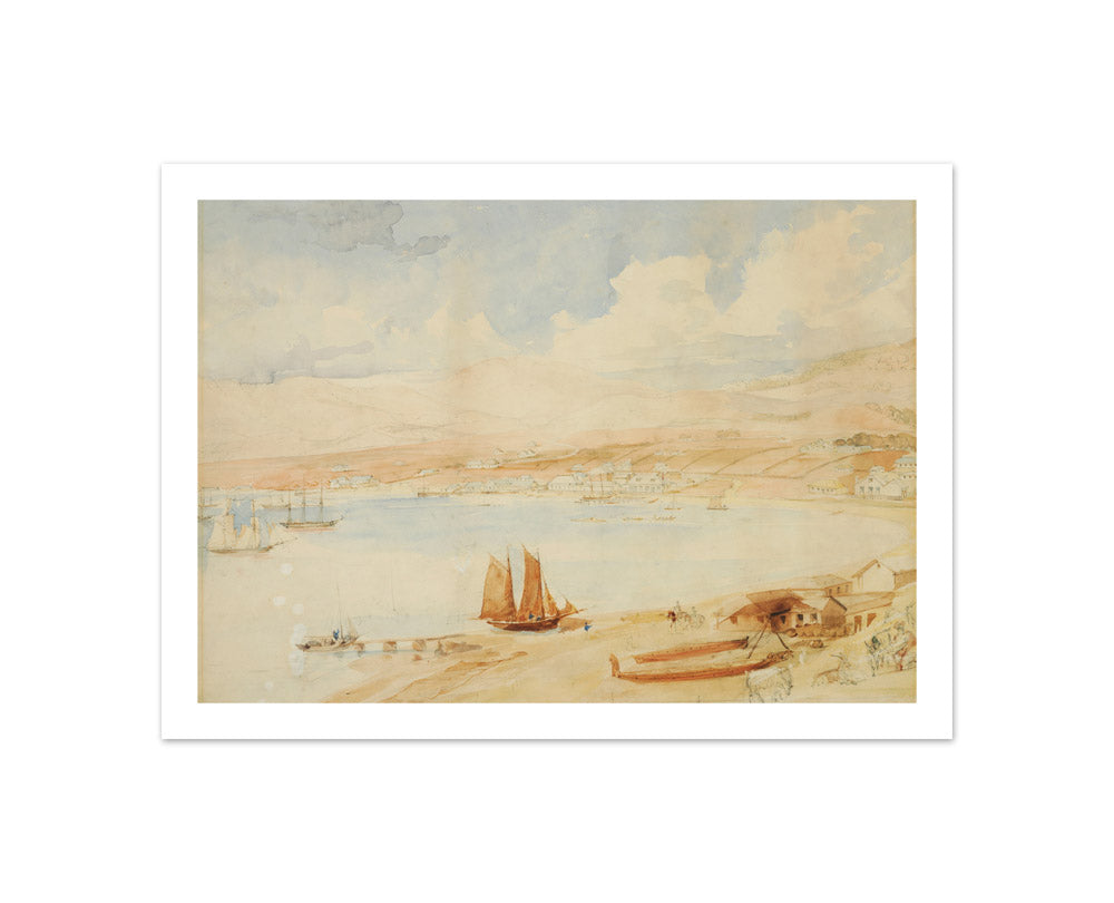 Wellington Harbour, N.Z. by Charles Heaphy - Compact / With Margin / No Frame