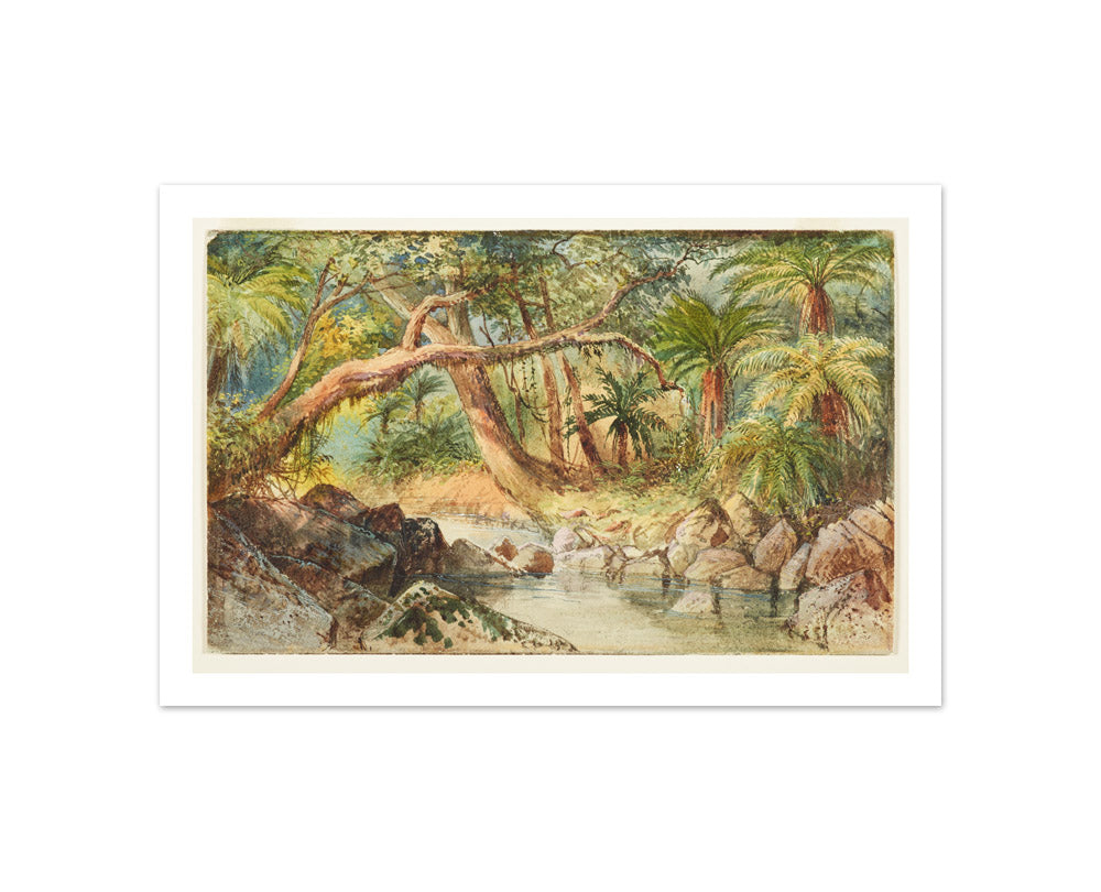 Creek at Holmes Bay, Banks Peninsula  by Nicholas Chevalier - Compact / With Margin / No Frame