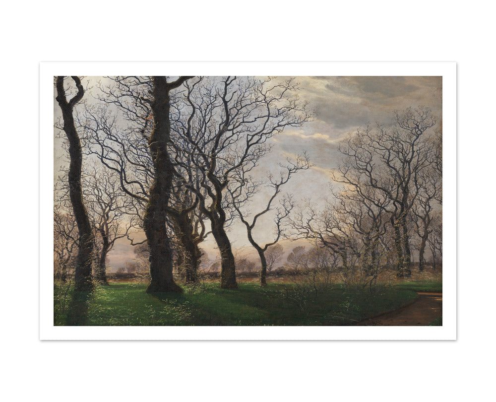 On the Outskirts of an Oak Forest on an Early Spring Morning by Janus la Cour - Extra Large / With Margin / No Frame