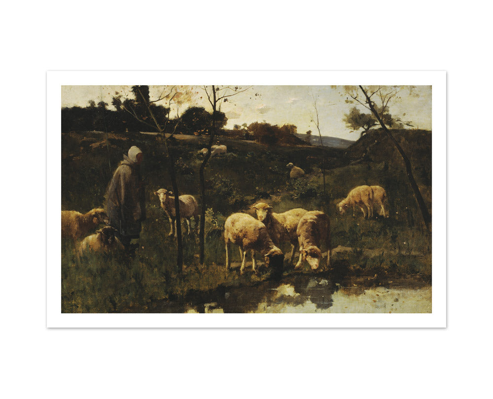 Landscape with Sheep, Picardy by Harry Thompson - Large / With Margin / No Frame