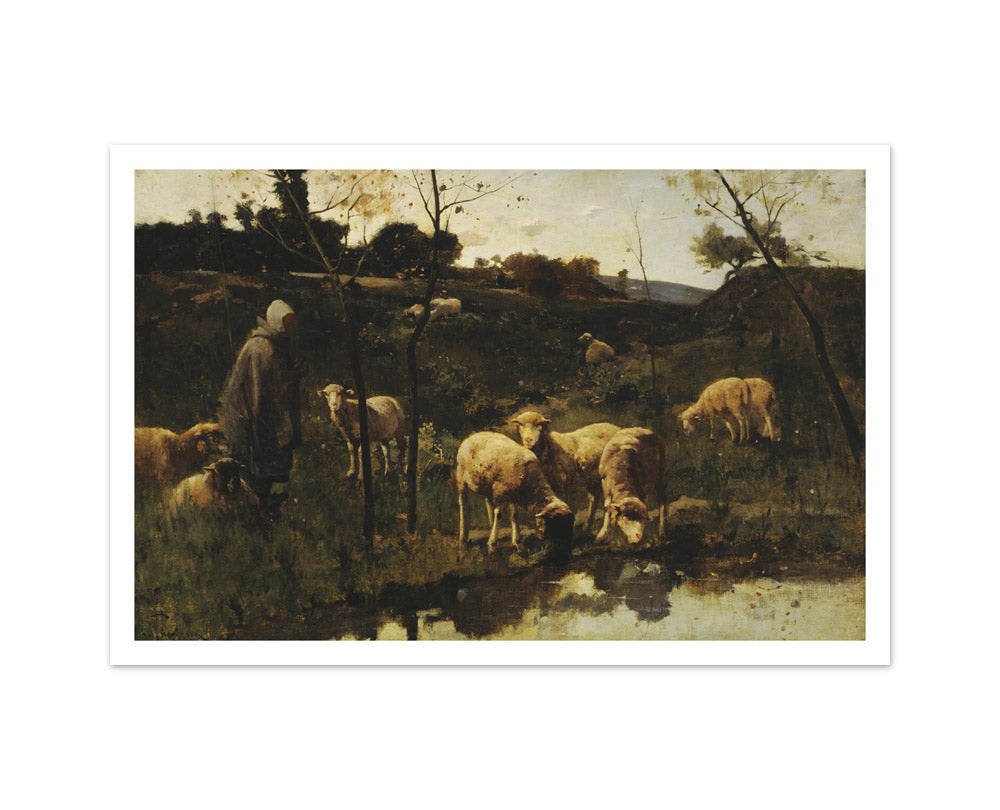 Landscape with Sheep, Picardy by Harry Thompson - Medium / With Margin / No Frame