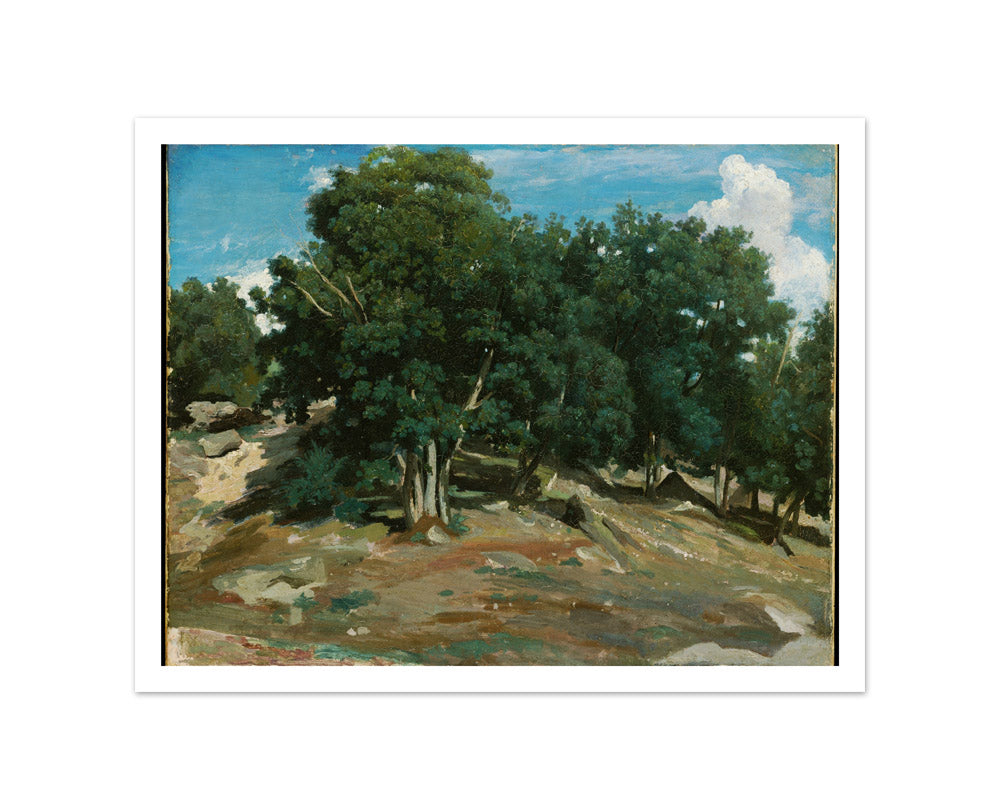 Fontainebleau: Oak Trees at Bas-Bréau by Camille Corot - Small / With Margin / No Frame