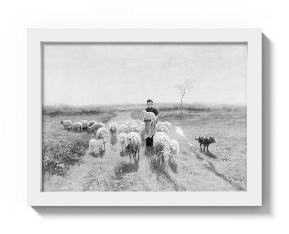 A Shepherdess and Her Flock by Anton Mauve - Compact / Full Bleed / White Frame