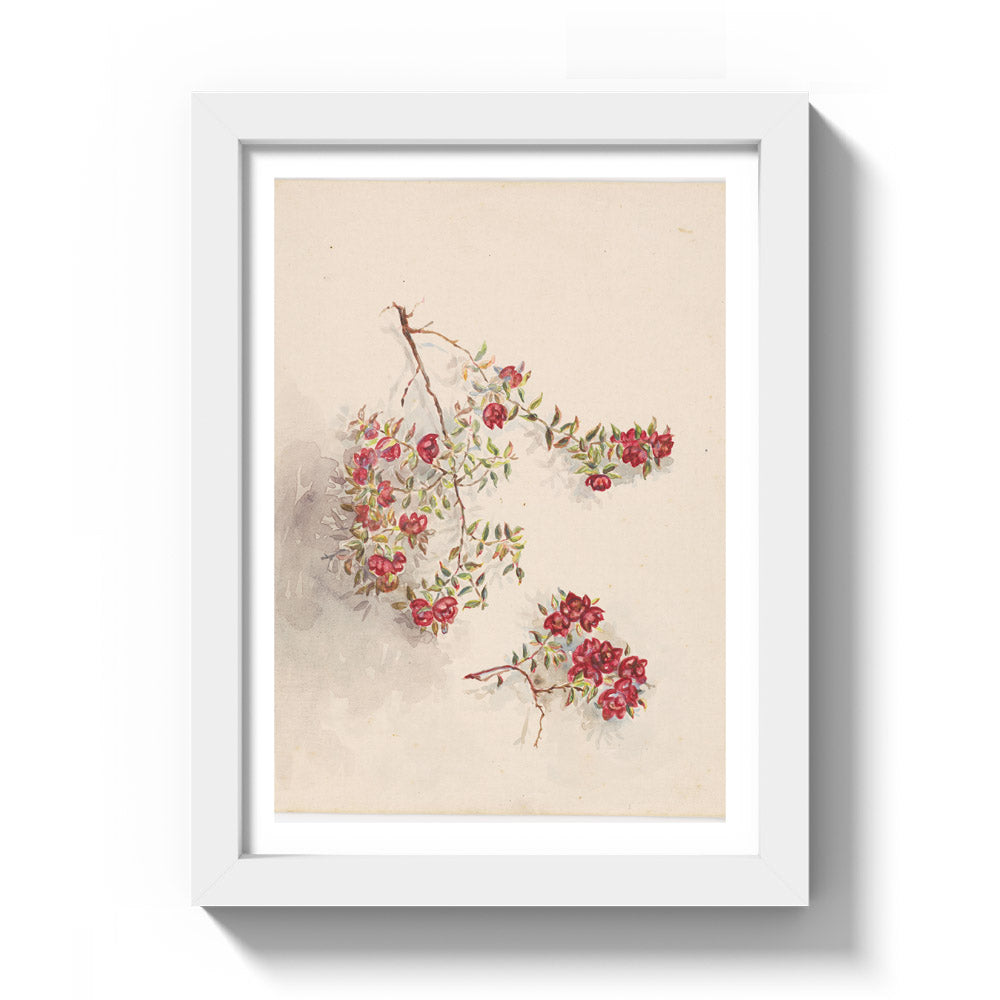 From Ruapehu by Miss Fanny Richardson - Compact / With Margin / White Frame