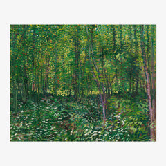 Trees and Undergrowth by Vincent van Gogh - thumbnail_0_nf_66489018bc76b73548b8c9a1