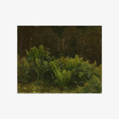 Study of Ferns by Hans Gude - thumbnail_0_nf_66b0f9371000f9bb7f31f6a5
