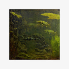 Pike and Perch in an Aquarium by Gerrit Willem Dijsselhof - thumbnail_0_nf_66fe6bcd8213847b6f357bd8