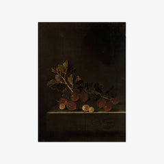 A Sprig of Gooseberries on a Stone Plinth by Adriaen Coorte - thumbnail_0_nf_66fe7db38213847b6f357bfe