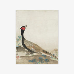 Pheasant by Ogata Kōrin - thumbnail_0_nf_67104a3d762cab4eff78724c