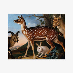 Fallow Deer, Ibex, and Hare by Philipp Ferdinand de Hamilton - thumbnail_0_nf_673cae895e0c5e198f5ec5fb