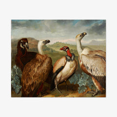 Four Vultures of Different Kind by Philipp Ferdinand de Hamilton - thumbnail_0_nf_673cc0f15e0c5e198f5ec668